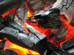В Омской области при производстве древесного угля погибли двое рабочих
