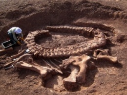 Ученые обнаружили в Аргентине место с большим количеством ископаемых Юрского периода