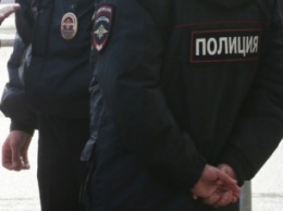 В московском парке Коломенское нашли труп младенца в пакете