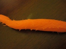 Морковь содержит витамин, сокращающий риск развития рака молочной железы на 60%