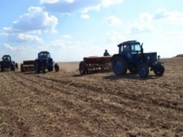 В Одесской, Херсонской и Николаевской областях начали сеять яровые