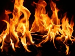 В Бердичеве Житомирской области заживо подожгли мужчину