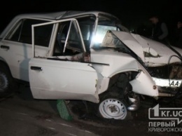 В Кривом Роге ВАЗ влетел в дерево. Есть пострадавшие