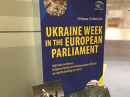 Польского журналиста, снимавшего украинских нацистов на выставке в Европарламенте, скрутили секьюрити