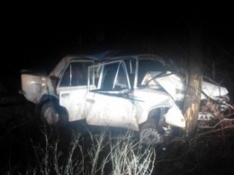 В Кривом Роге машина врезалась в дерево, три человека в больнице