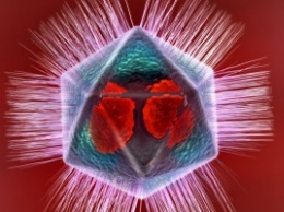 Ученые выяснили, что у некоторых вирусов есть собственная иммунная система