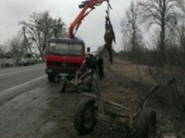 Во Львовской области конная повозка спровоцировала ДТП с микроавтобусом