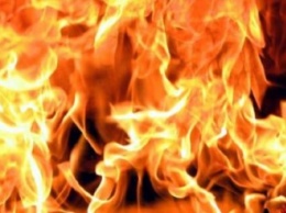 В Новомосковске на территории летней кухни найден обгоревший труп мужчины