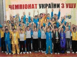 Запорожские ушуисты привезли золото со Всеукраинского чемпионата