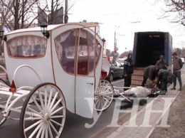 В центре Мариуполя сдохла свадебная лошадь