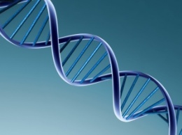 Ученые: Остатки вирусов в ДНК человека защищают от болезней
