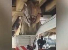 В Бангкоке «оживший» тираннозавр застрял в автомобильной пробке. ВИДЕО