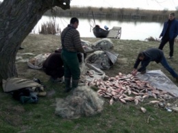 На озере Кугурлуй задержали браконьеров с крупной партией незаконно добытой рыбы