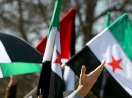 Сирийская оппозиция требует поменять конституцию