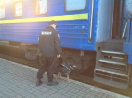 Неизвестный сообщил о гранате в вагоне поезда "Львов-Мариуполь"