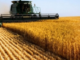 В 2016 году сельхозпроизводство в России может увеличиться на 3-4%