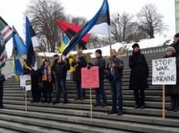 В Таллинне прошел митинг в поддержку Савченко