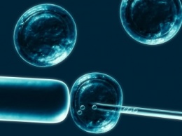 Ученые открыли новый тип индуцированных стволовых клеток iXEN
