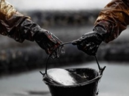 Цена на нефть пошла вверх