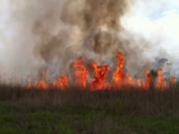 За сутки в области произошло 5 возгораний камыша и сухой травы