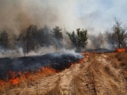 Пожар под Киевом не несет угрозу столице