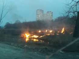 Под Киевом снова загорелся торф