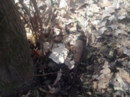 На Сумщине найден очередной боеприпас недалеко от жилых домов (ФОТО)