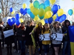 Free Savchenko.Полиция и дети требовали освобождения Надежды Савченко (ФОТО)