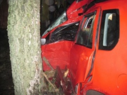 Иномарка врезалась в дерево в Ровенской области, водитель погиб