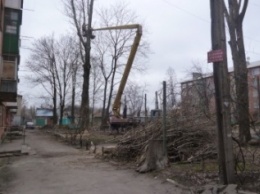 Безжалостная опиловка деревьев в Красноармейске продолжается