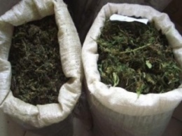 Полицейские изъяли у наркодилера 100 килограмм марихуаны, предназначенных для продажи в Днепродзержинске и других городах области