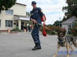 В Харькове "минировали" гимназию