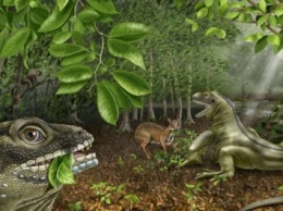В Бразилии найдены останки рептилии, жившей до динозавров