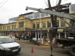 На Новом рынке в Одессе спиливают деревья и сносят ларьки (ФОТО)