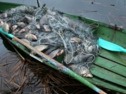 С начала года пограничниками Херсонщины выявлено 350 кг рыбы и 80 кг креветки