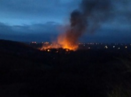 В Хортицком районе масштабный пожар: горит балка (Фото)