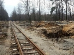 Ужасные последствия добычи янтаря в Украине будоражат интернет-сообщество