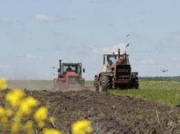 Павленко: Посевная площадь под урожай-2016 составит 26,7 млн га