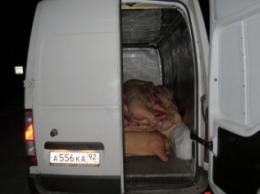 Под Симферополем задержали автомобиль с крупной партией небезопасной свинины с украинским клеймом