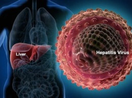 Новосибирские ученые разработали метод определения гепатита