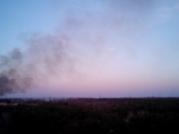 Лесопарковая зона горела в Запорожье