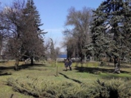 В Запорожье в сквере возле памятника Ленину произошел взрыв, территорию оцепила полиция