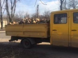 В Кривом Роге задержали водителя, который перевозил около 4 кубов пиленого леса без документов