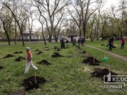 Криворожан приглашают на весеннюю высадку деревьев в парке «Правда»