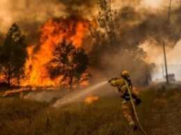 Под Днепропетровском случился серьезный пожар