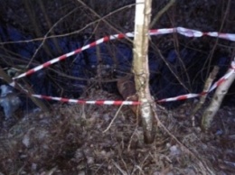 В Чудновском районе дети нашли снаряды