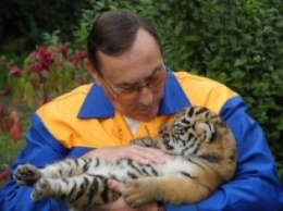 Считаем чужие деньги: у директора зоопарка заплата больше, чем у других руководителей коммунальных учреждений Николаева