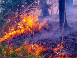 В Славянском районе произошел крупный пожар