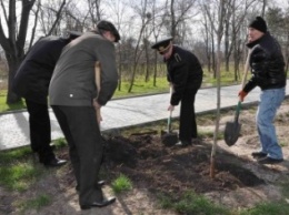 Одесские пограничники восстановили ведомственную аллею в парке