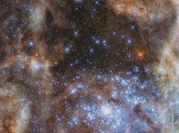 Космический телескоп Хаббл зафиксировал скопление супер-ярких звезд